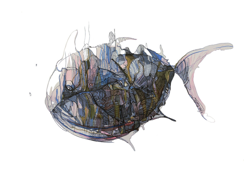 Catálogo de Especies, La Maquina Creadora, Naza Martín