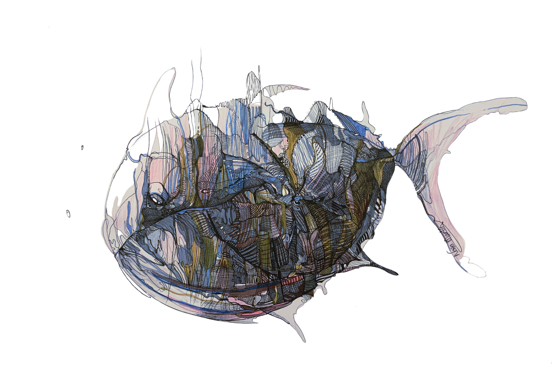 Catálogo de Especies, La Maquina Creadora, Naza Martín