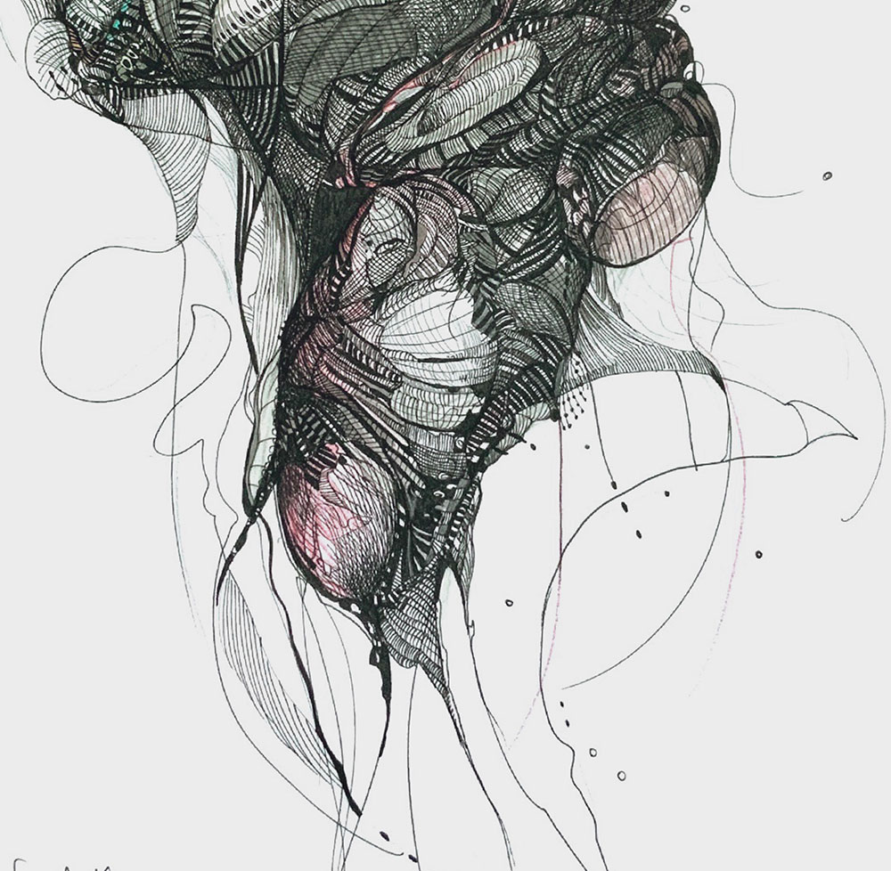 Catálogo de especies, Naza Martín, La máquina creadora