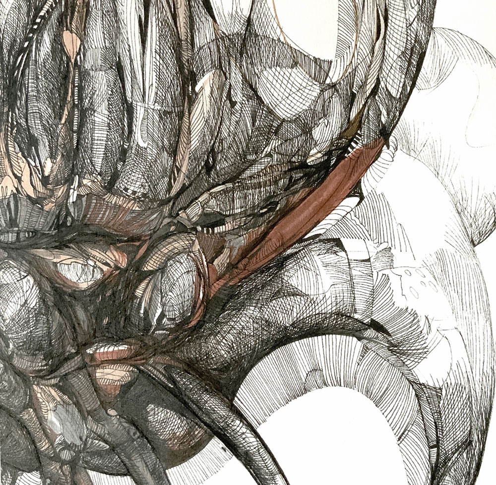 Catálogo de especies, Naza Martín, La máquina creadora