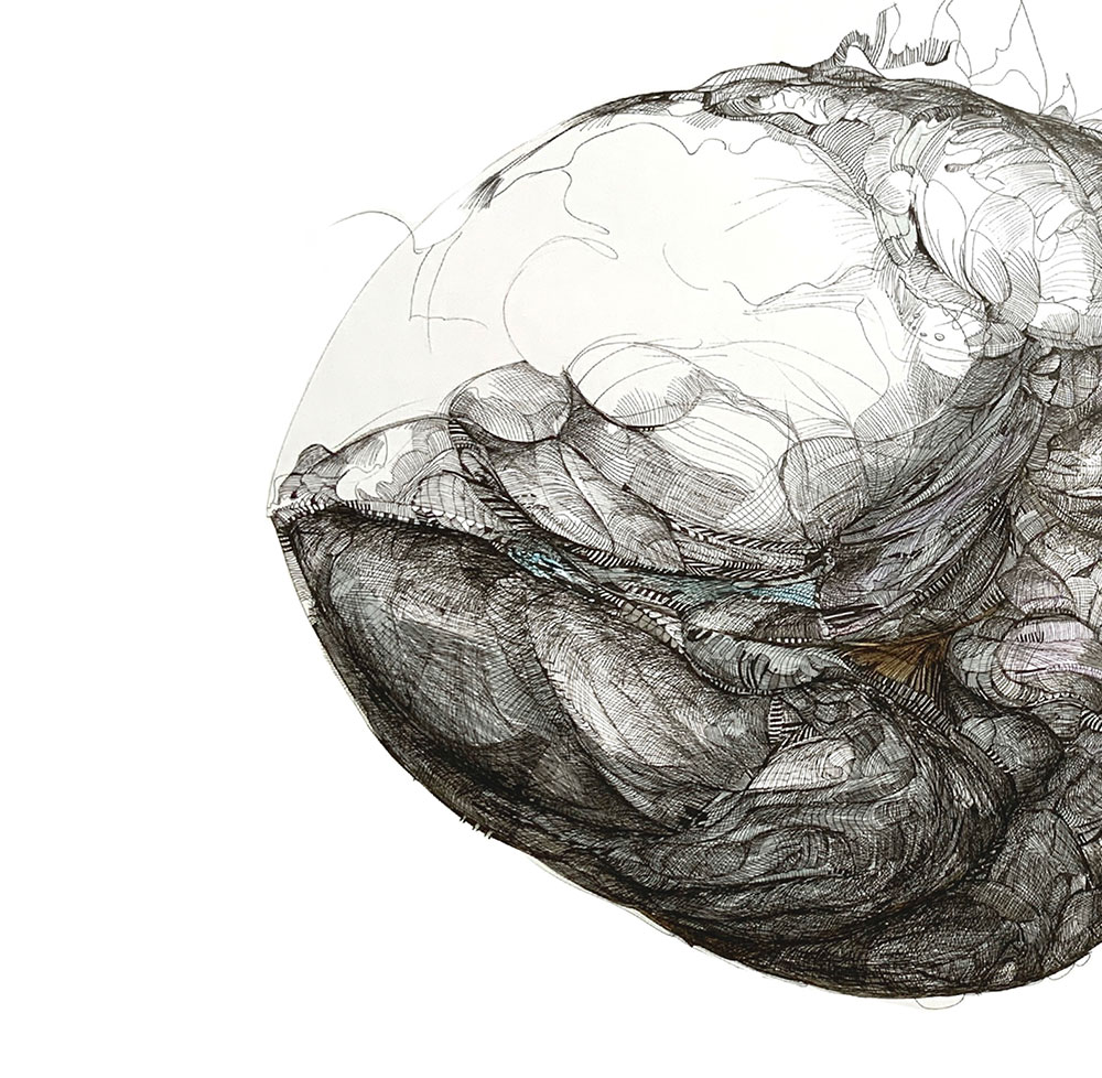 Catálogo de especies, Naza Martín, La máquina creadora