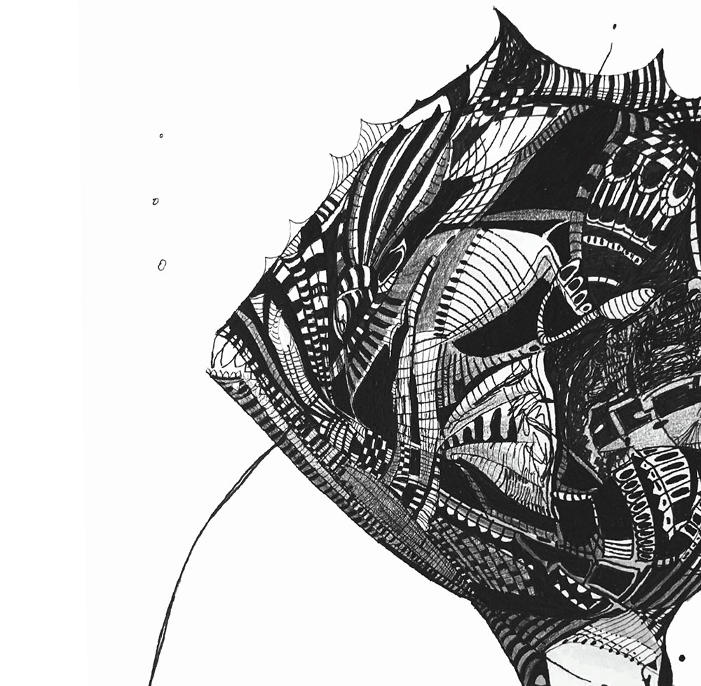 Catálogo de especies, Naza Martín, La máquina creadora