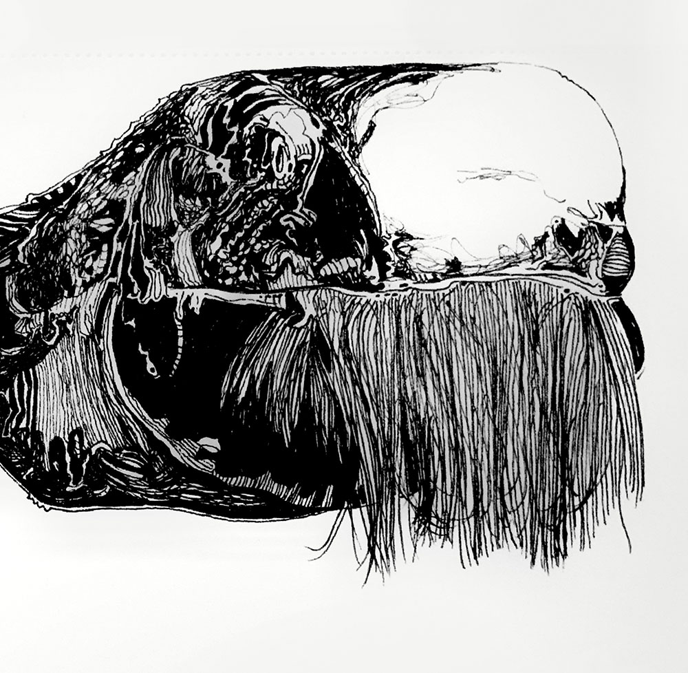 Catálogo de especies, Naza Martín, La máquina creadora