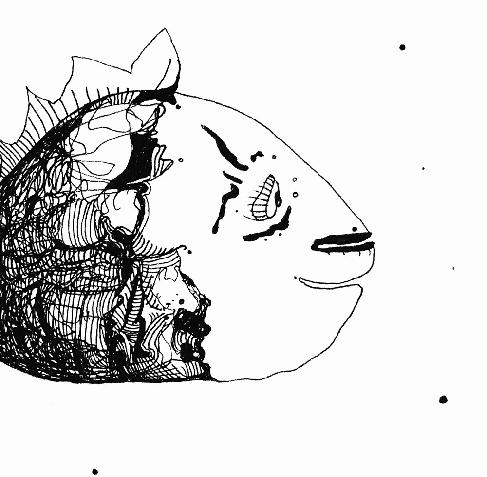 Catálogo de especies, Naza Martín, La máquina creadora