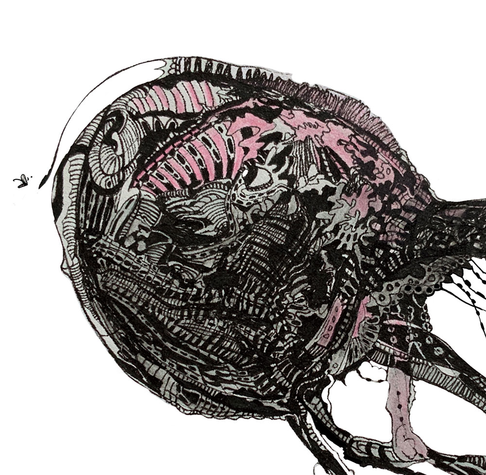 Catálogo de especies, Naza Martín, La máquina creadora