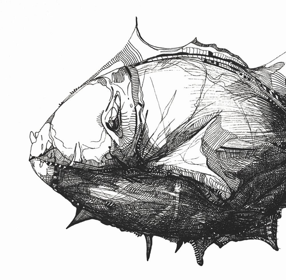 Catálogo de especies, Naza Martín, La máquina creadora