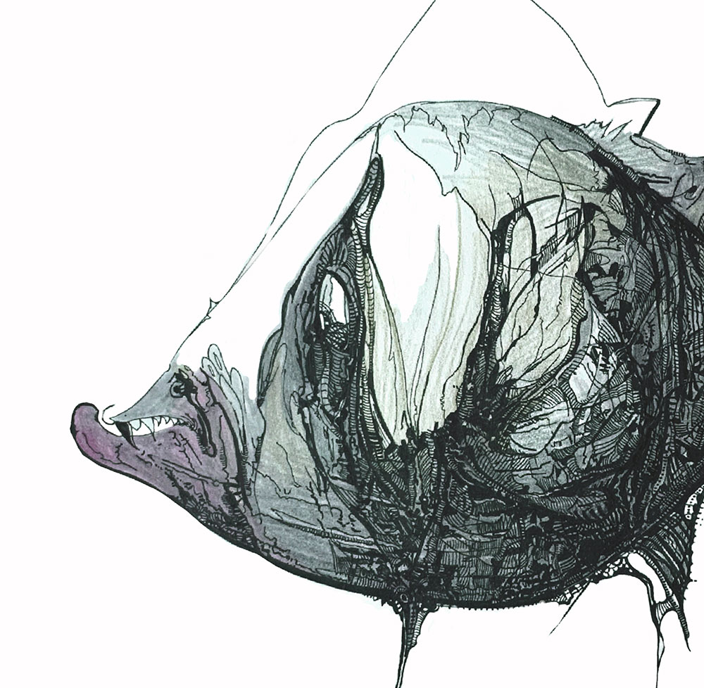 Catálogo de especies, Naza Martín, La máquina creadora