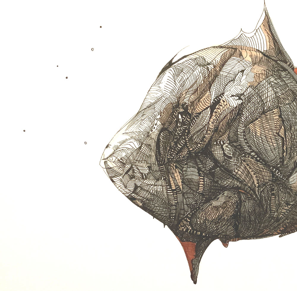 Catálogo de especies, Naza Martín, La máquina creadora