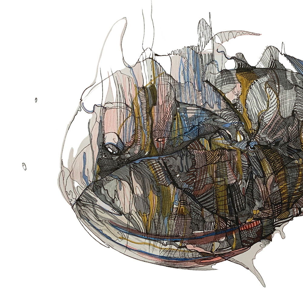 Catálogo de especies, Naza Martín, La máquina creadora