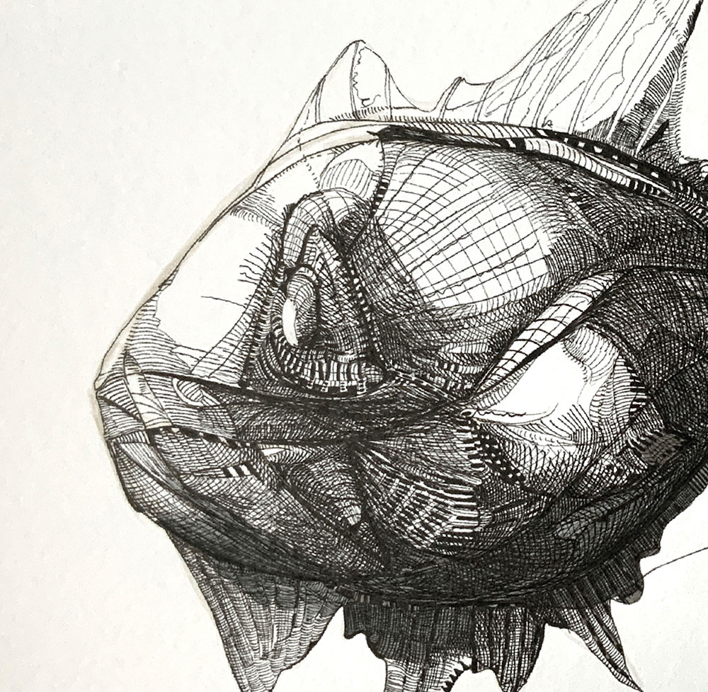 Catálogo de especies, Naza Martín, La máquina creadora